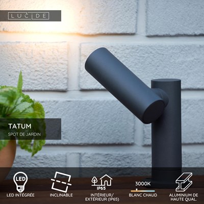 Lucide TATUM - Spot de jardin - LED - 1x5W 3000K - IP65 - Anthracite